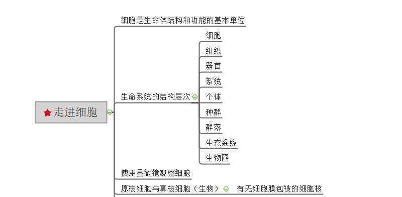 生物必修一第五章思维导图 画生物必修一的思维导图