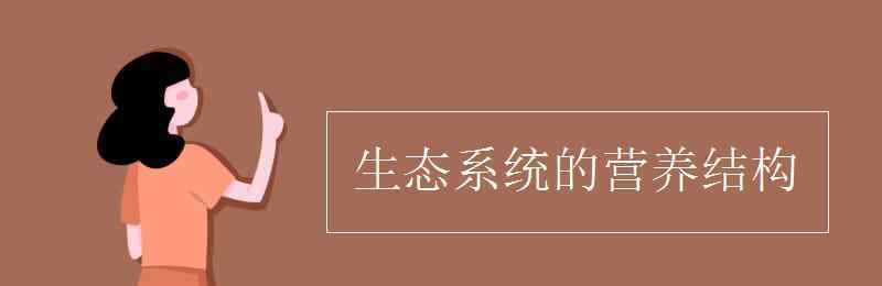 生态系统营养结构 生态系统的营养结构