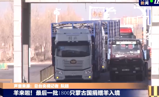 蒙古捐赠的3万只羊已全部入境真相是什么？