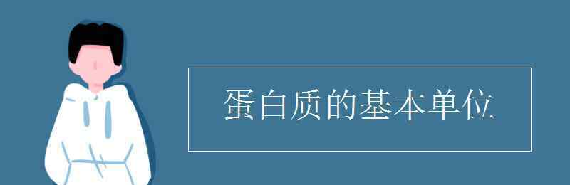 蛋白质的基本组成单位 蛋白质的基本单位