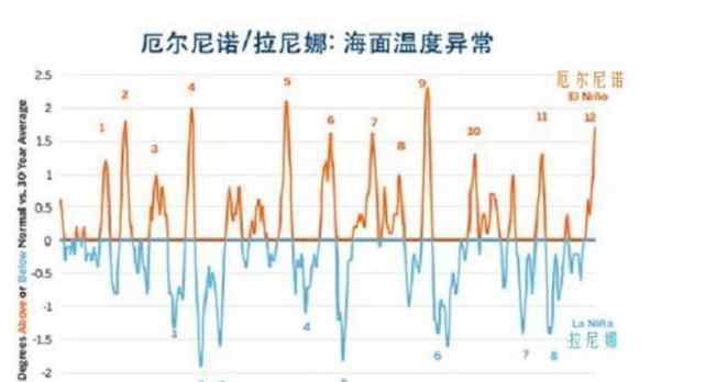 2100中国淹没的城市 全球变暖或致北极熊在2100年灭绝是真的吗，全球变暖还将造成什么影响