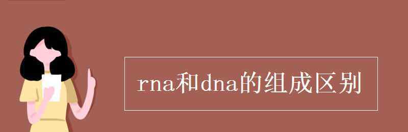 rna和dna的组成区别 rna和dna的组成区别