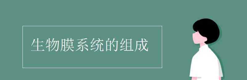 生物膜系统的组成 生物膜系统的组成