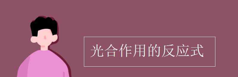 光合作用总反应式 光合作用的反应式