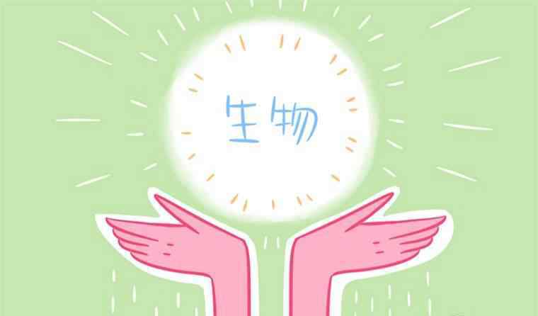 细菌病毒 初中真菌细菌病毒的区别