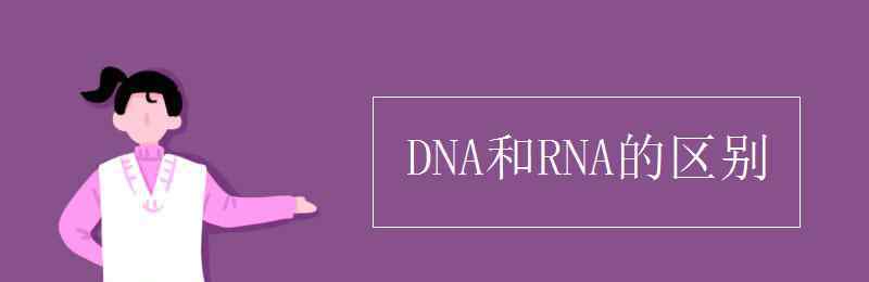 dna和rna区别 DNA和RNA的区别