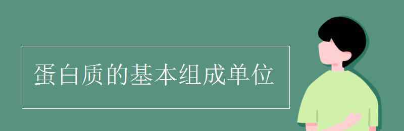 组成蛋白质的基本单位 蛋白质的基本组成单位