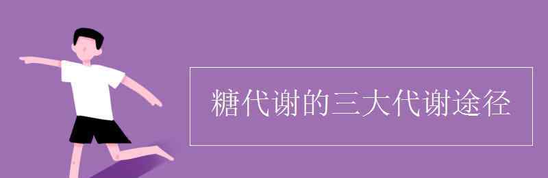 糖代谢 糖代谢的三大代谢途径