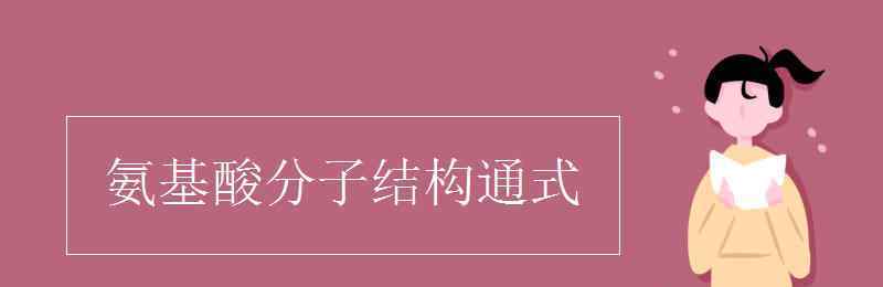 氨基酸结构通式 氨基酸分子结构通式