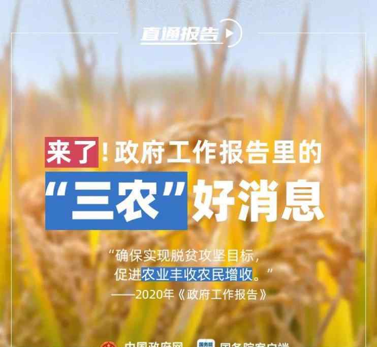 惠农政策 【聚焦全国两会】2020年有这些惠农政策