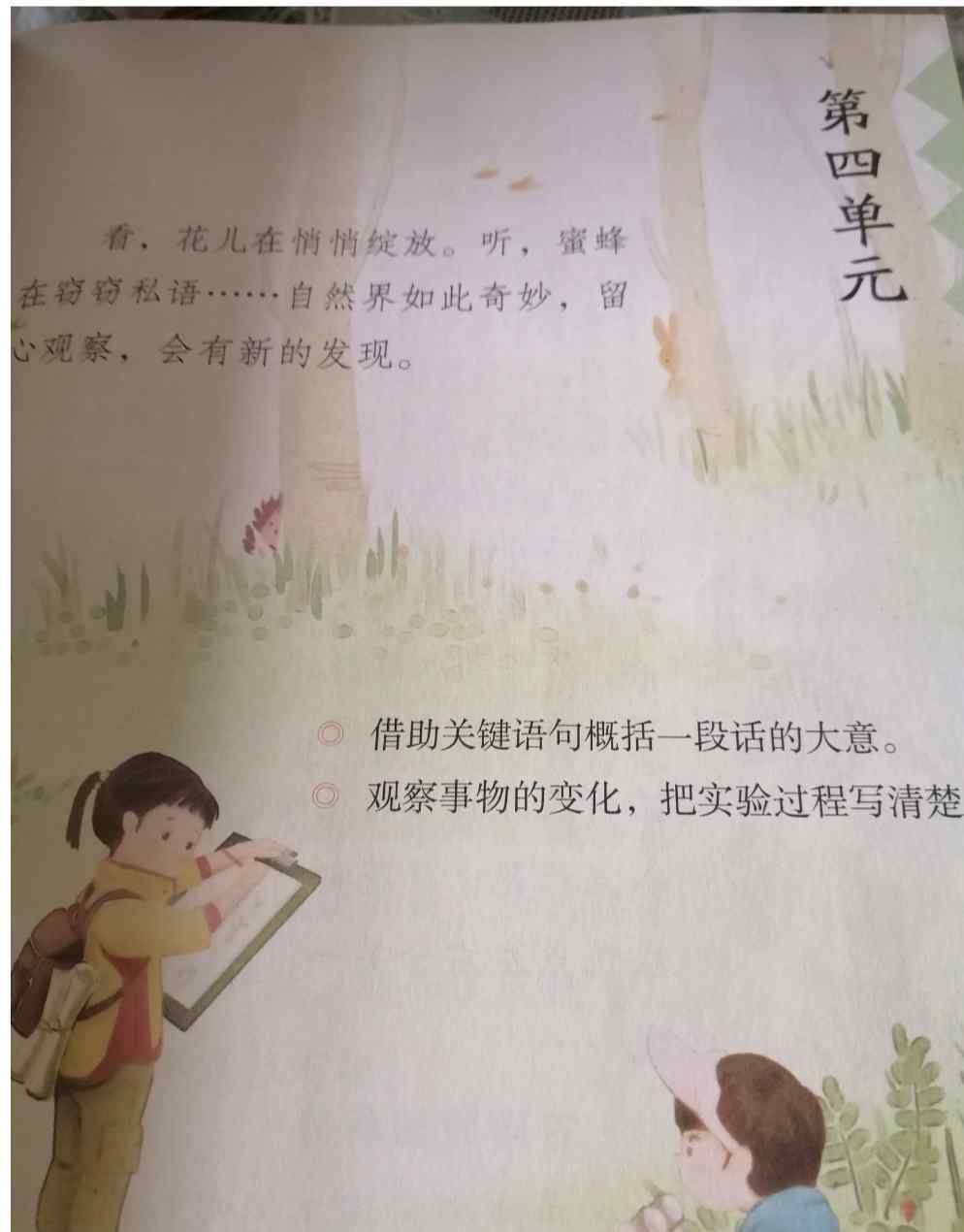 蜜蜂教学反思 三年级下册《蜜蜂》教学反思