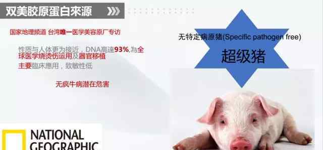 双美胶原蛋白质嵌入剂有什么特性?