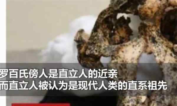 南非发现200万年前头骨化石 具体是怎么回事