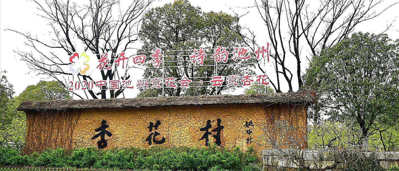 梁新生 春风十里杏花村