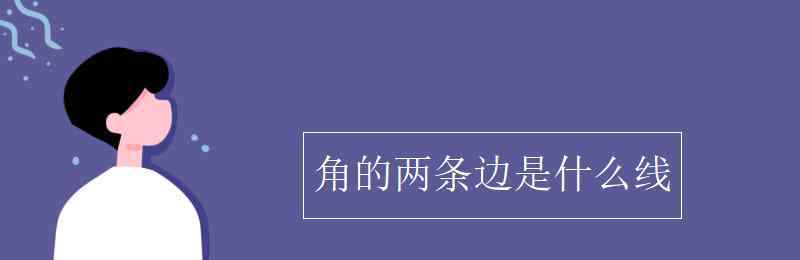 两条线 角的两条边是什么线