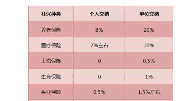 五险自己交全额是多少 五险自己交全额是多少？自己缴纳五险是不是经济负担很重