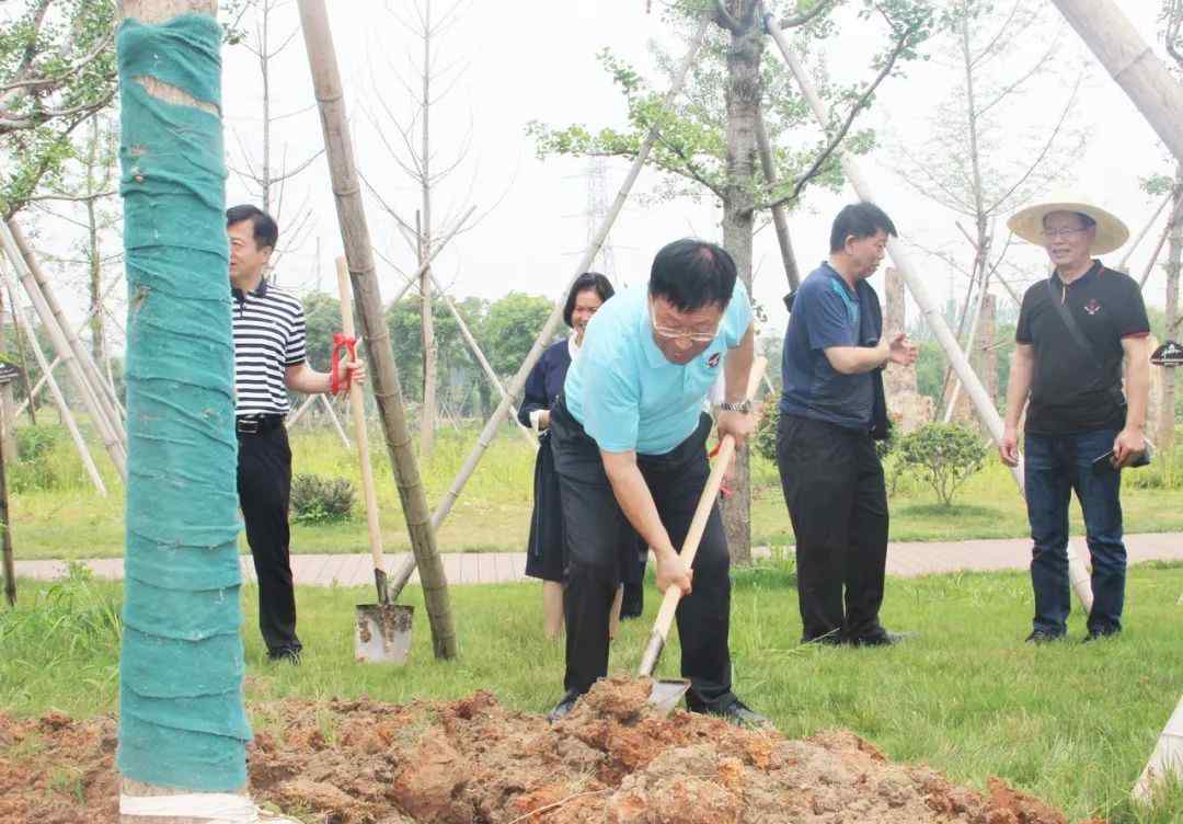 王兴治 王兴治院士亲自栽下“院士树”