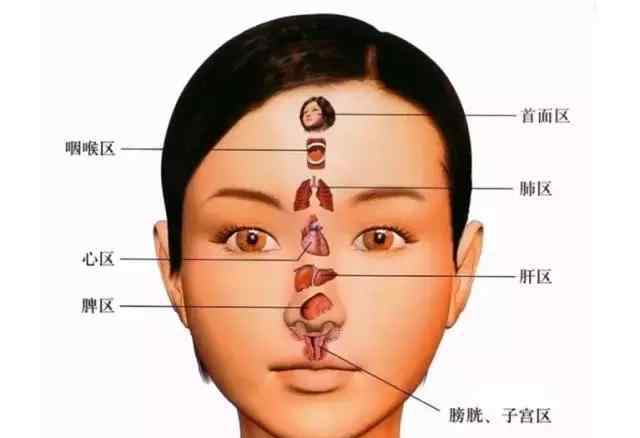 背部反射区与症状详解