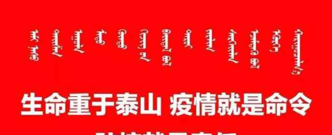 蘑菇大棚 【只争朝夕 决战决胜脱贫攻坚】蘑菇大棚促发展 集体经济见效益