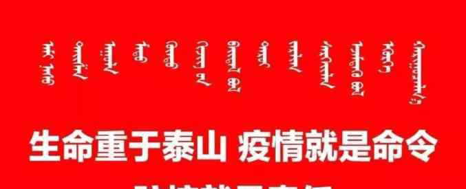 蘑菇大棚 【只争朝夕 决战决胜脱贫攻坚】蘑菇大棚促发展 集体经济见效益