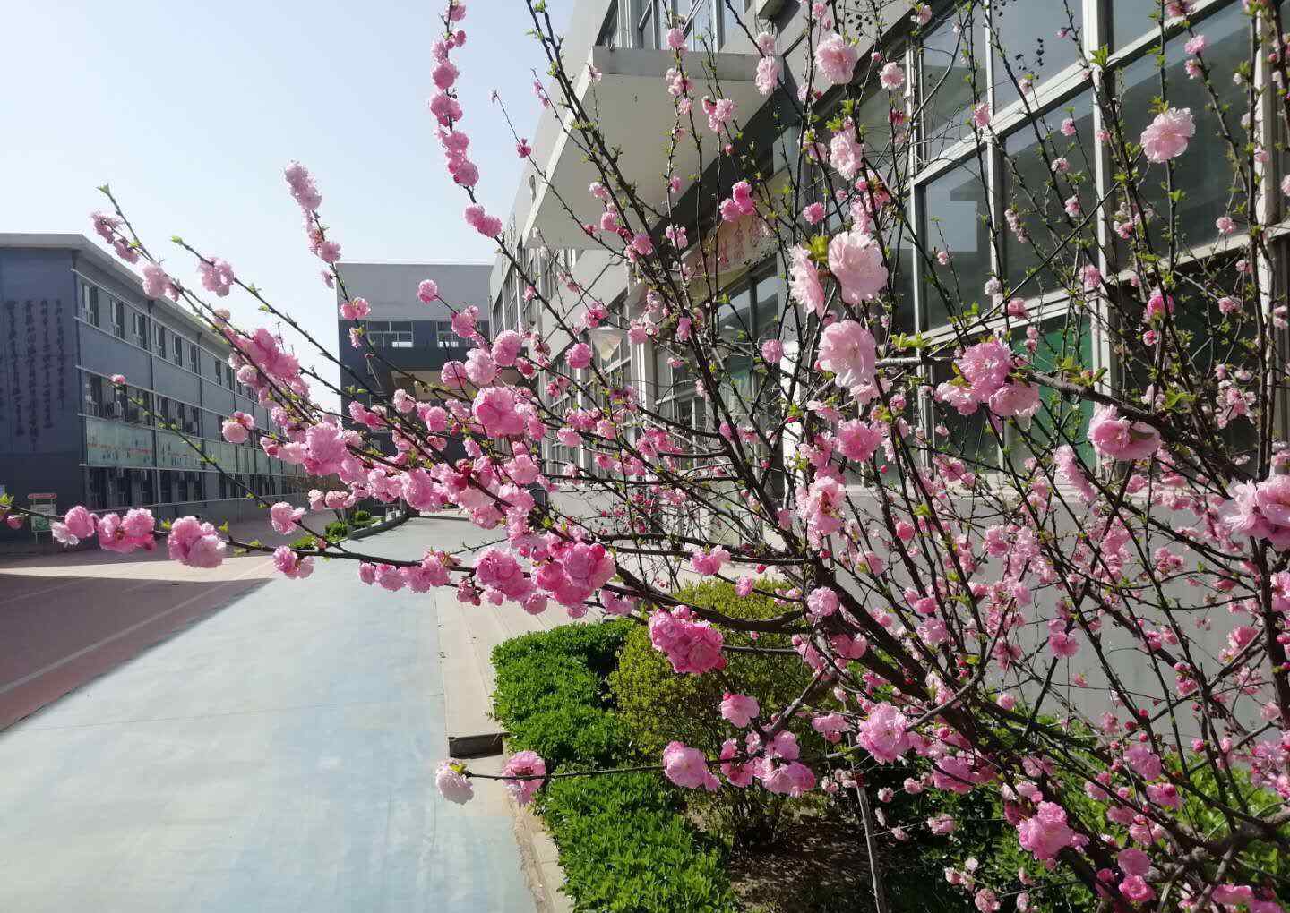 高三学生考场式食堂就餐 【现场直击】|我市高三学生“考场式”食堂就餐