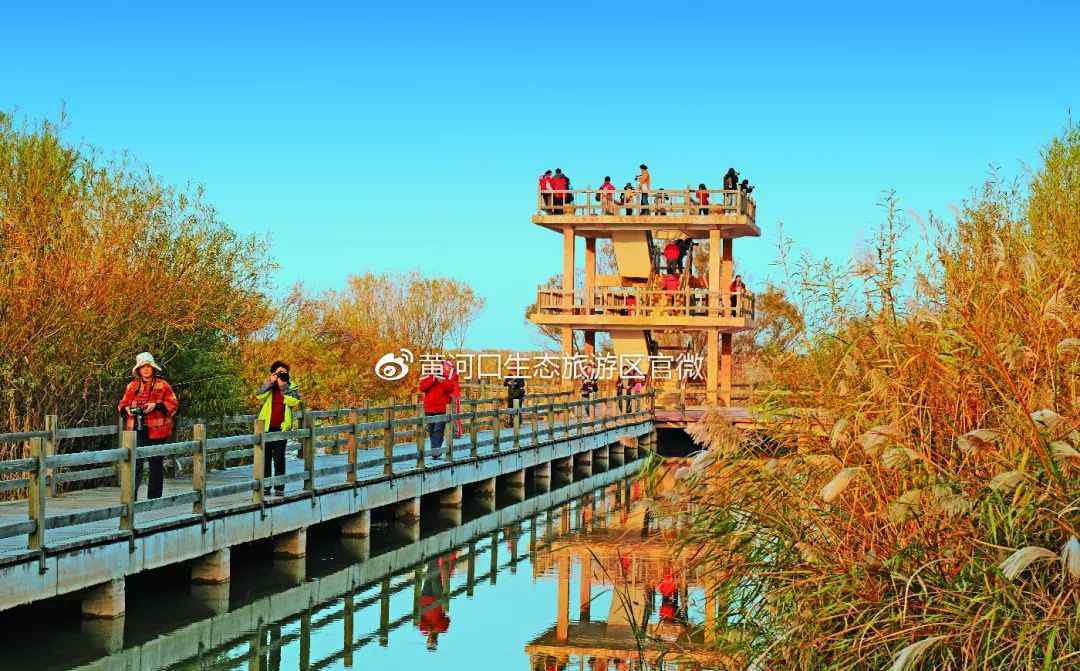 黄河口绿色生态旅游景区