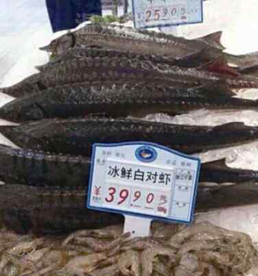 鲟鱼价格 人工养殖的中华鲟价格是多少呢，中华鲟到底能不能吃?