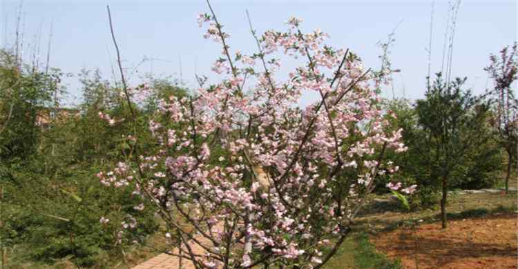 芗城中学 芗城中学