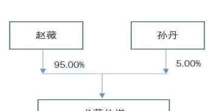 艺人身价 赵薇身价多少亿，明星身价是怎么算的