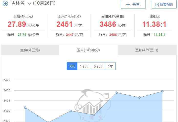 玉米亩产量一般多少斤 东北玉米最新价格多少，东北玉米产量每亩多少斤