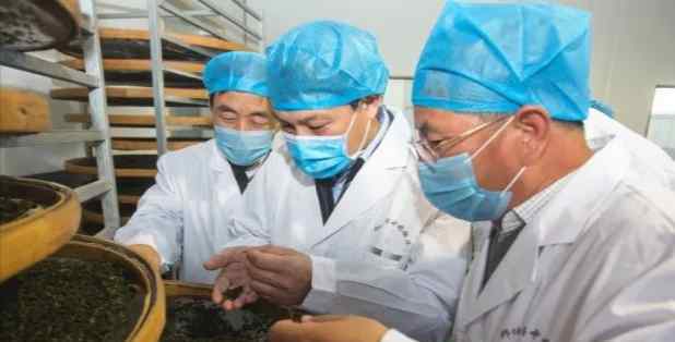 山西省农业农村厅 山西省农业农村厅鞠振厅长一行来我公司调研指导工作