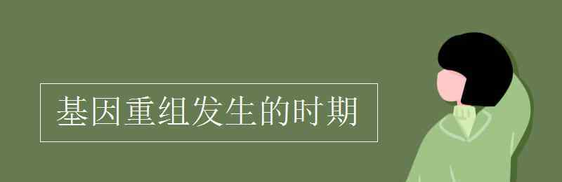 基因重组发生的时期 基因重组发生的时期