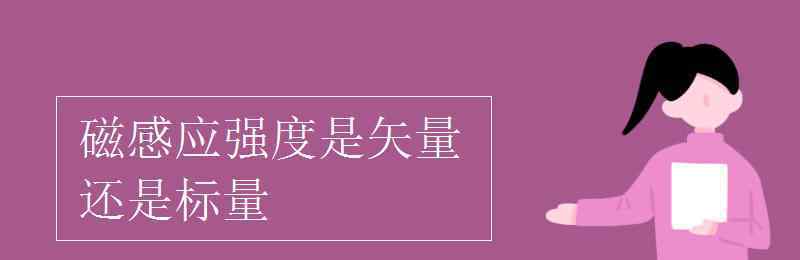 电场强度是矢量还是标量 磁感应强度是矢量还是标量