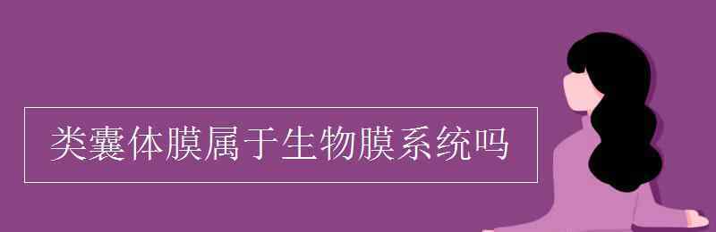 生物膜系统 类囊体膜属于生物膜系统吗