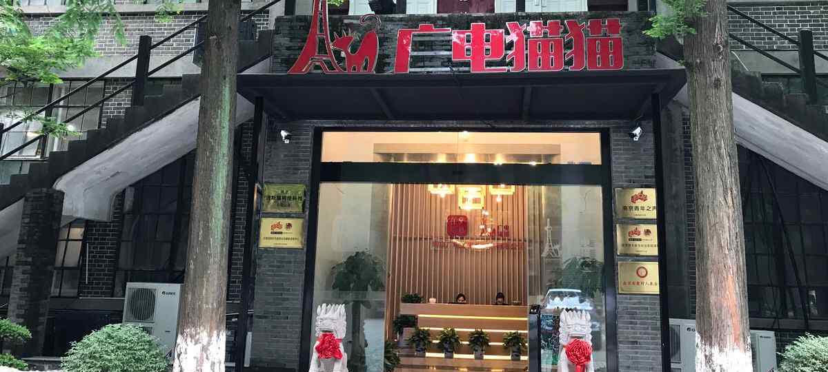 摩尔猫猫 建行直销银行成功上线“在南京”APP