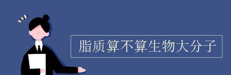 脂质是生物大分子吗 脂质算不算生物大分子