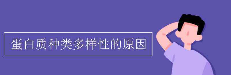 蛋白质多样性的原因 蛋白质种类多样性的原因