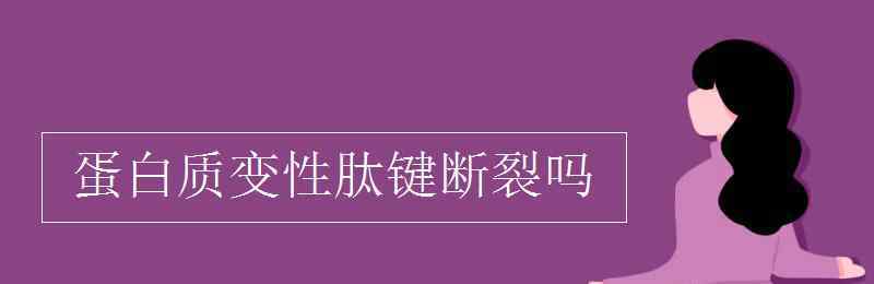 蛋白质变性肽键断裂吗 蛋白质变性肽键断裂吗