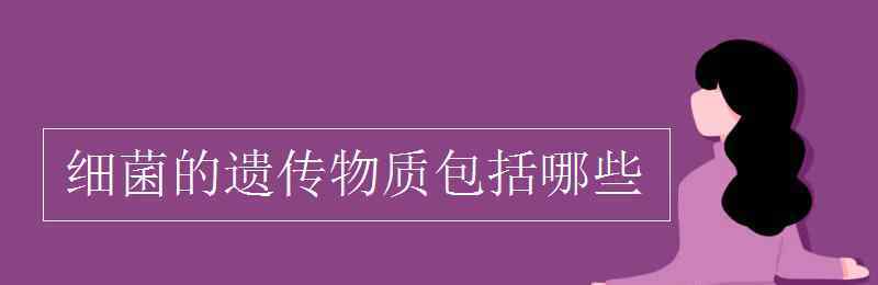 细菌的遗传物质 细菌的遗传物质包括哪些