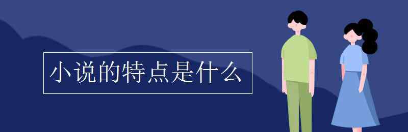 小说的特点 小说的特点是什么