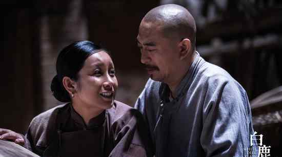 电影白鹿原何时上映 张嘉译秦海璐《白鹿原》什么时候播出？在哪个平台播出？