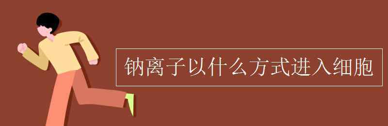 钠离子 钠离子以什么方式进入细胞