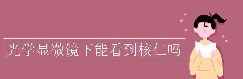 光学显微镜下能看到的细胞结构 光学显微镜下能看到核仁吗