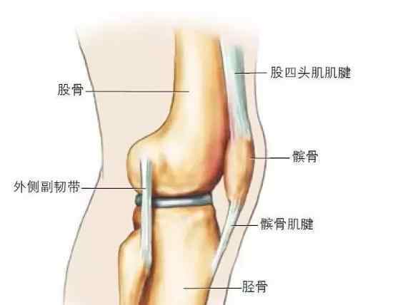 关节损伤 最全干货！跑者常见的6个膝关节损伤指南