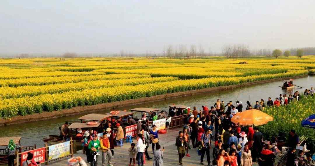 珠海莲洲油菜花 春节去哪儿？斗门2020年新春活动指南来了！