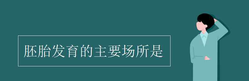 胚胎发育的场所 胚胎发育的主要场所是