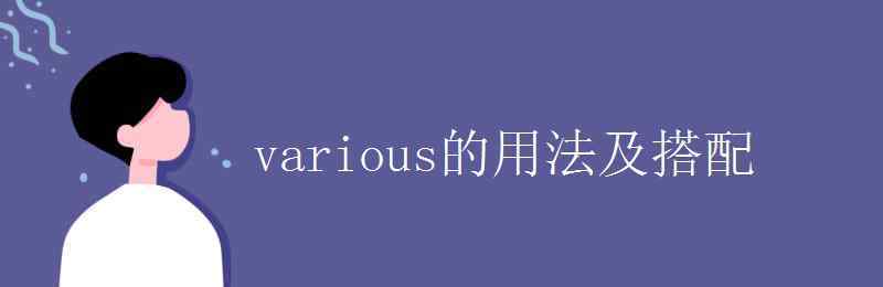 various名词 various的用法及搭配