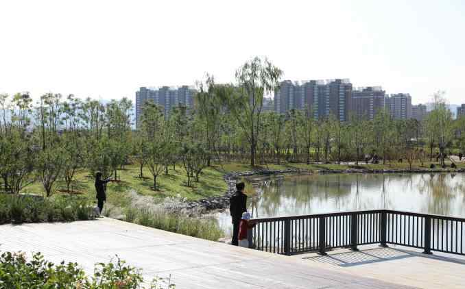 建筑垃圾竟能“堆山造景”！密云这片裸露土地变身“美丽花海”