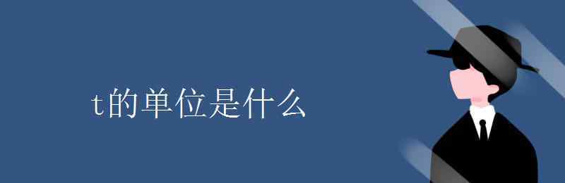 t表示什么单位 t的单位是什么