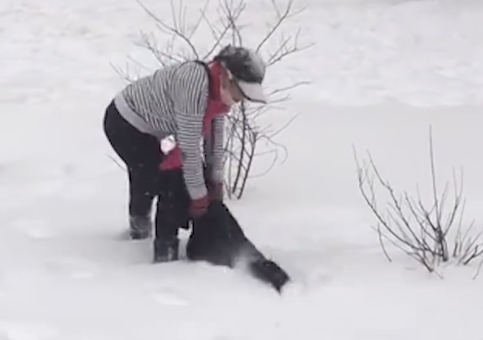 东北大妈用雪洗貂皮大衣？网友：传说中的干洗